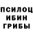 Псилоцибиновые грибы Psilocybine cubensis L1fr1 44