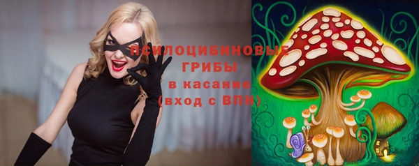 гидропоника Балабаново