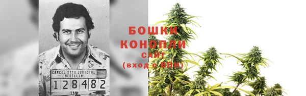 гидропоника Балабаново
